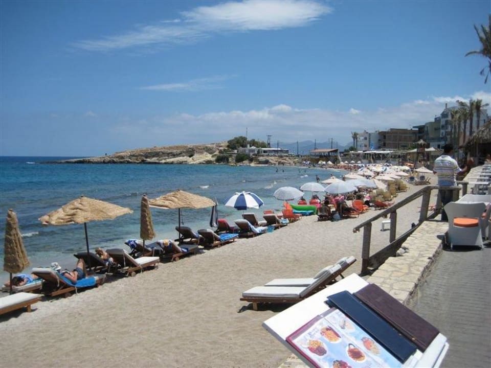 Strand direkt vor dem Hotel Albatros Spa & Resort Hotel