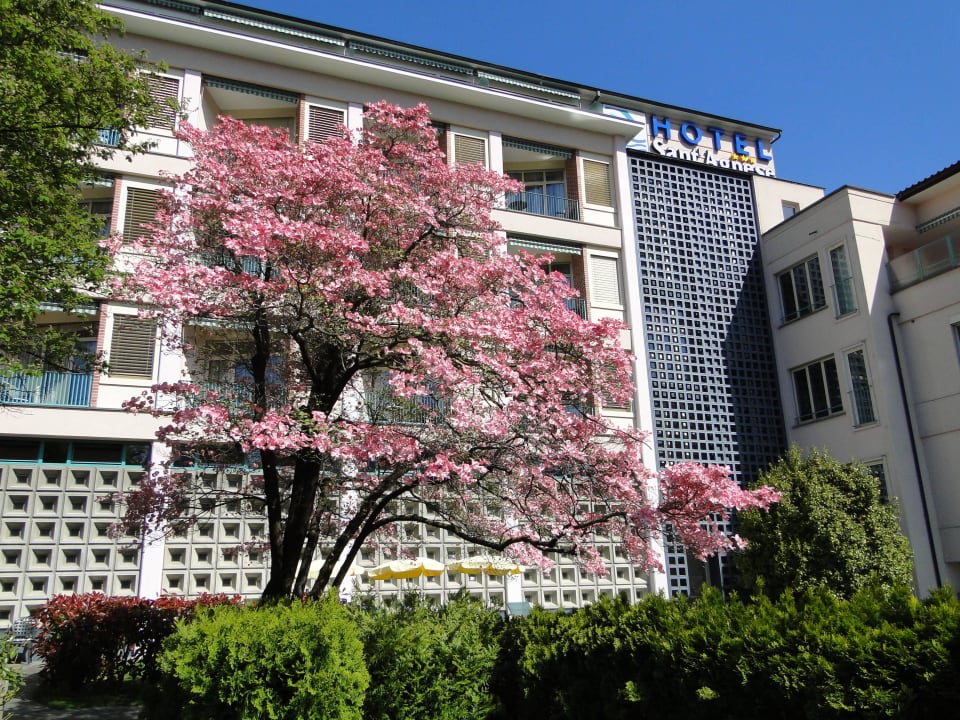 Giardino Hotel Sant'Agnese