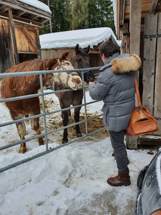 Sport & Freizeit PRIESTEREGG Premium ECO Resort