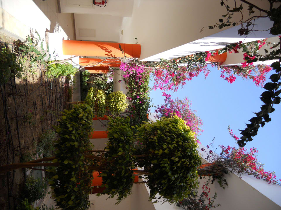 Anlage zwischen den Zimmern Fantazia Resort Marsa Alam