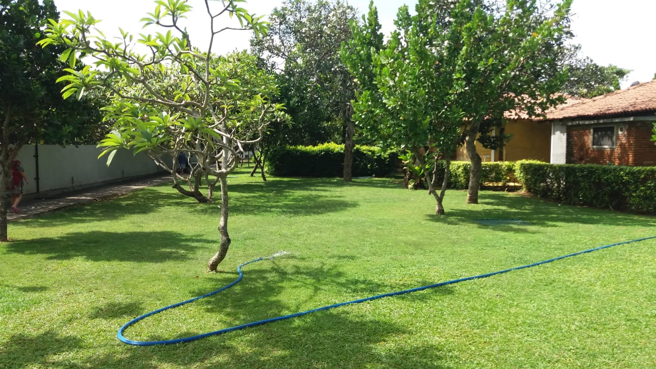 Gartenanlage Club Hotel Dolphin