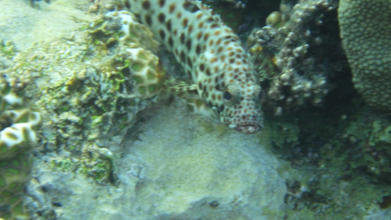 Ausblick Rohanou Beach Resort