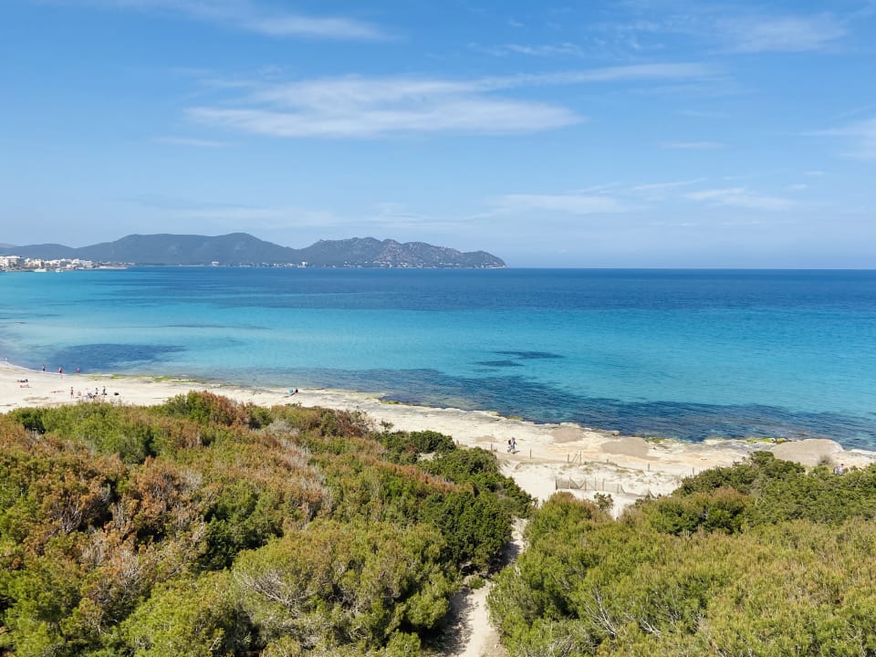 Ausblick Hipotels Bahía Cala Millor