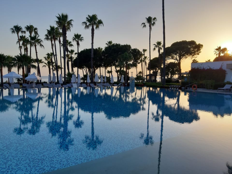 Pool Acanthus Cennet Barut Collection