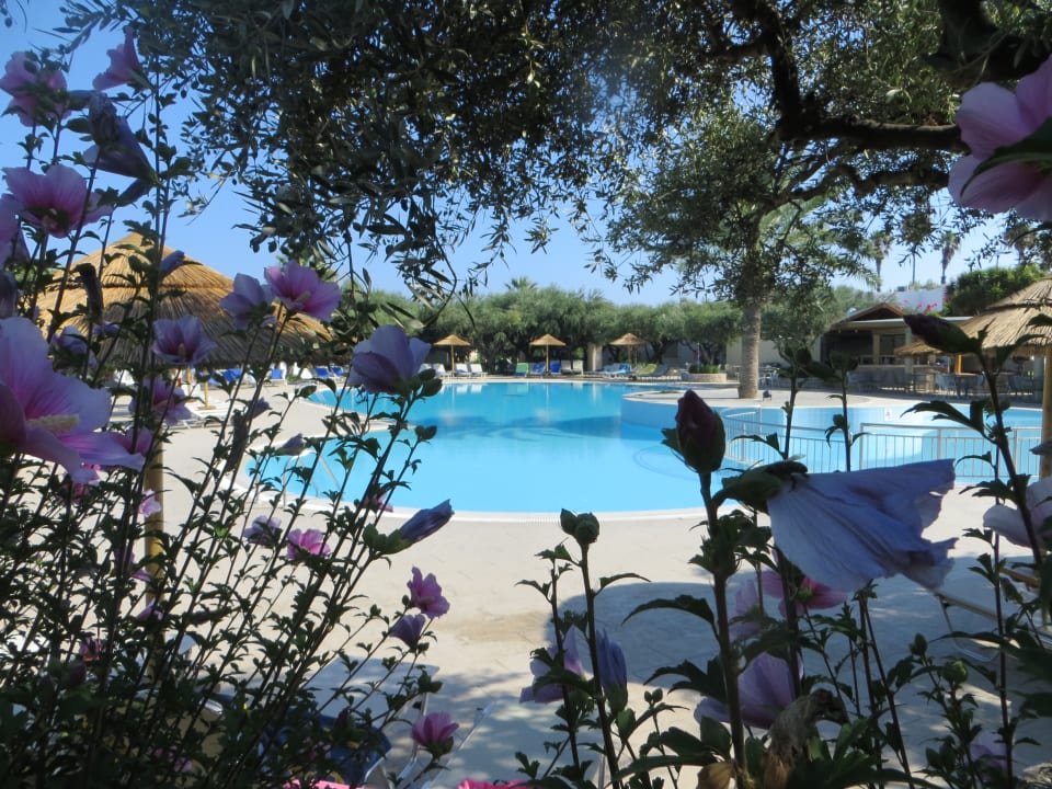 Pool TUI KIDS CLUB Alex Beach