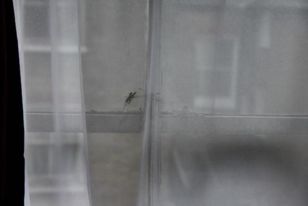 Unser ZImmerfenster Hotel Euro Lodge Clapham