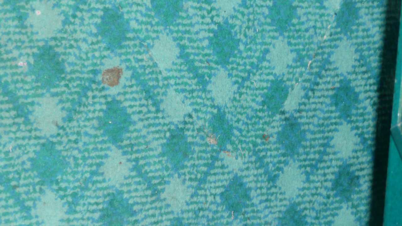 Moquette tachée Mahdia Beach & Aquapark