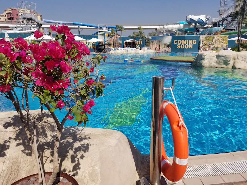Pool Grand Hyatt Dubai