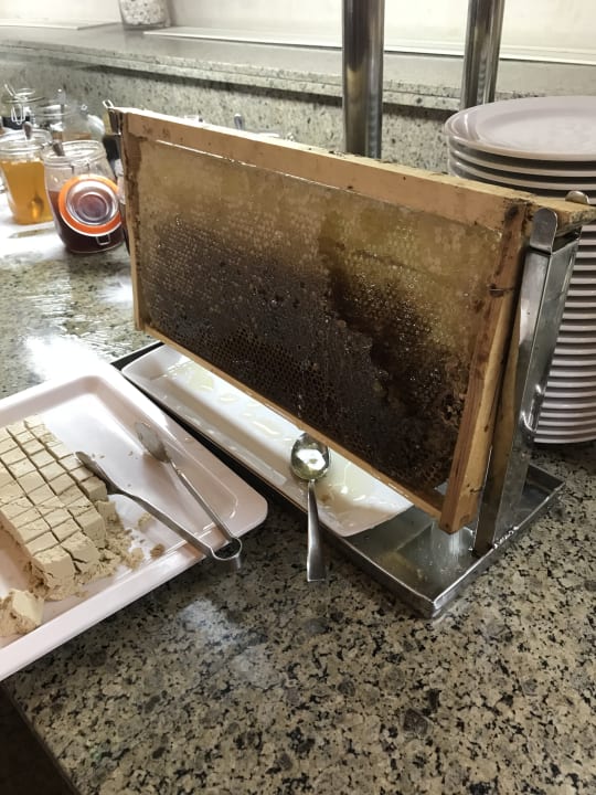 Gastro Jaz Makadi Oasis Resort