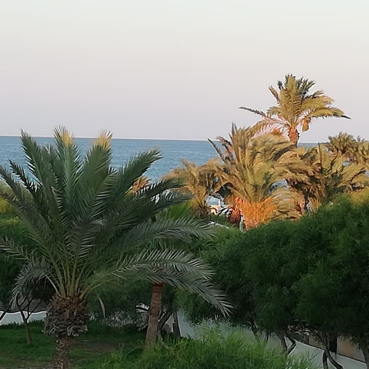 Gartenanlage Caribbean World Thalasso Djerba