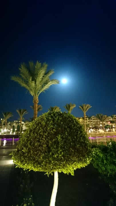 Gartenanlage Pickalbatros Dana Beach Resort - Hurghada