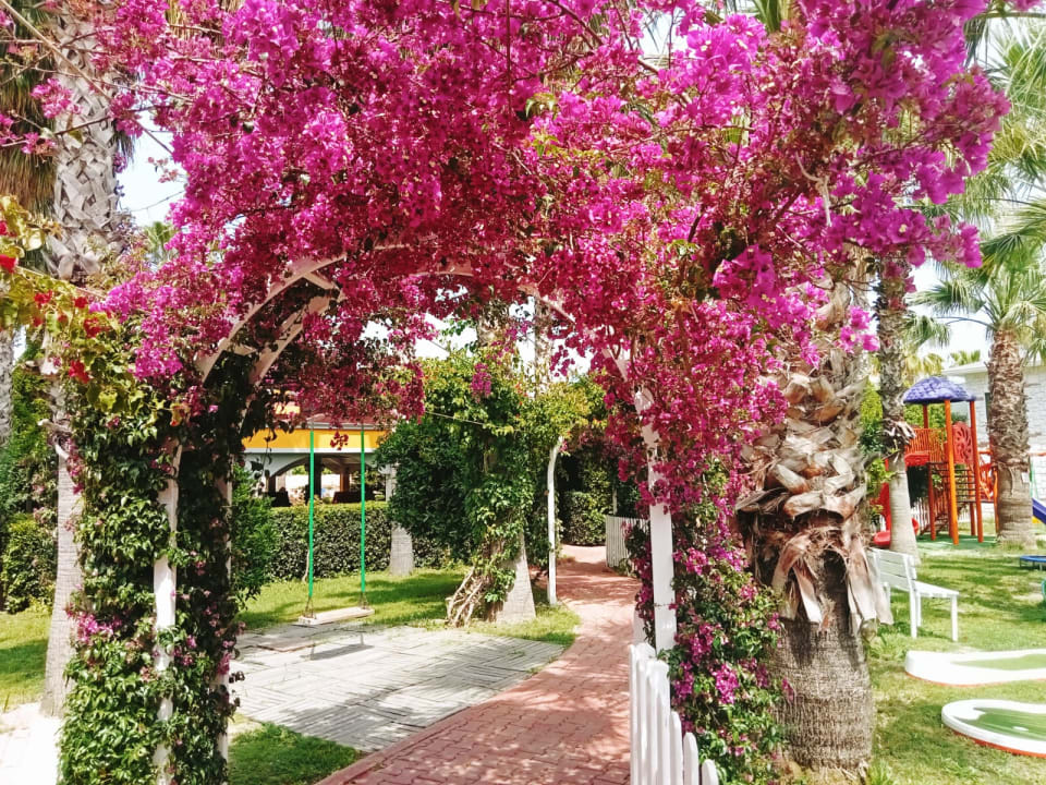 Gartenanlage Hane Family Resort