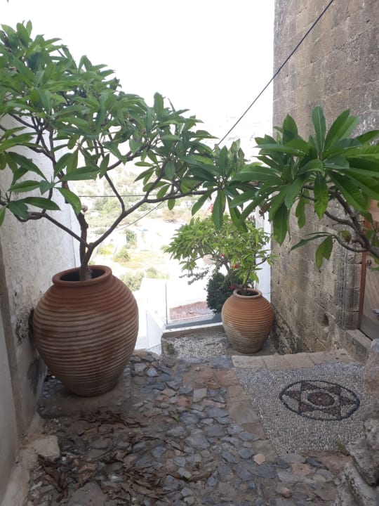 Garten Marianna Palace Hotel