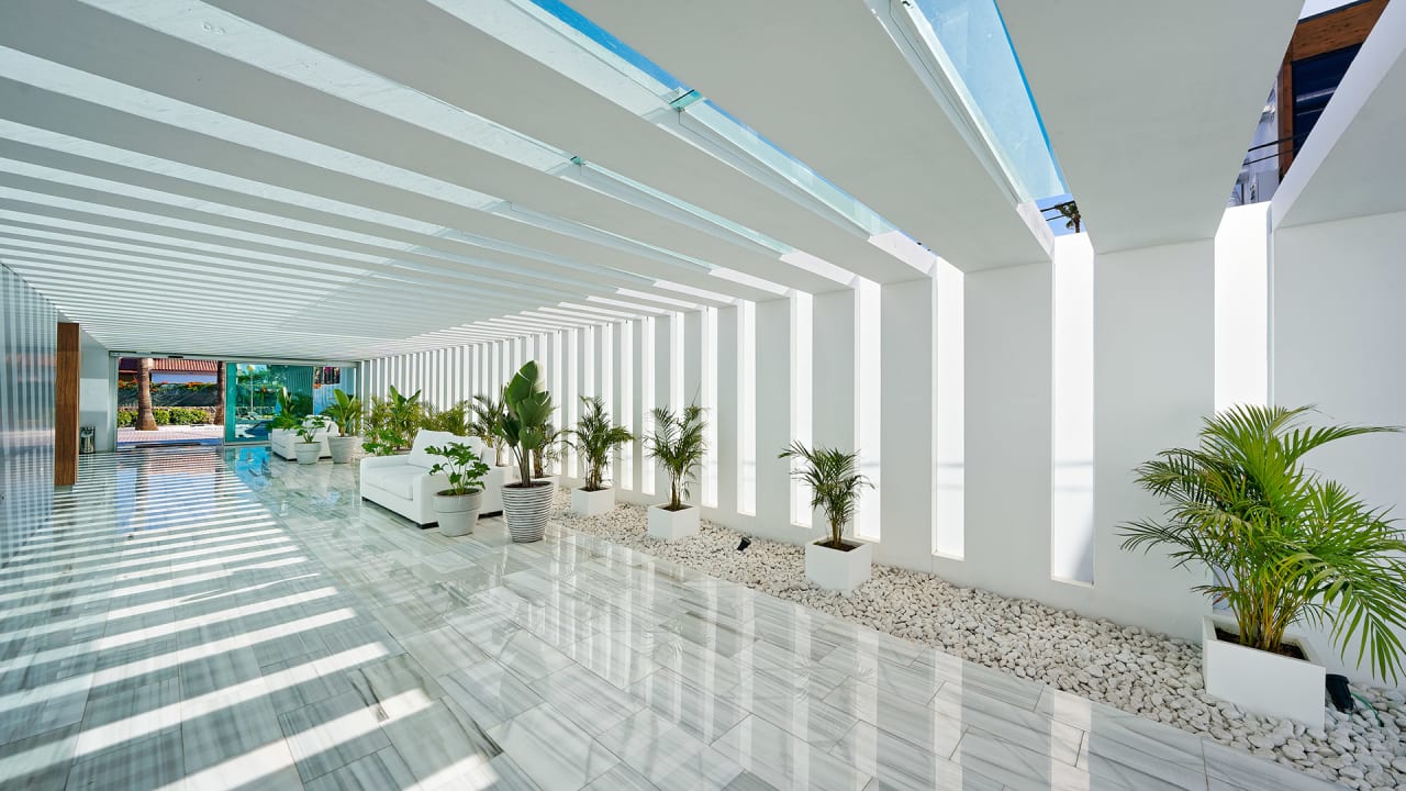 Sonstiges Canary Garden Club