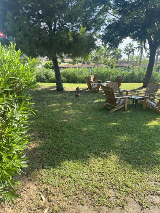 Sonstiges Diamond Excellence Resort & Spa