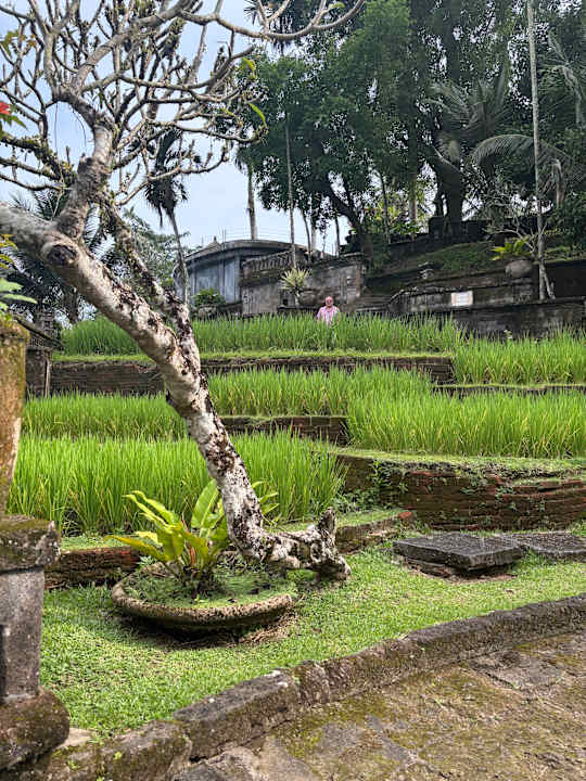 Gartenanlage The Payogan Villa Resort & Spa