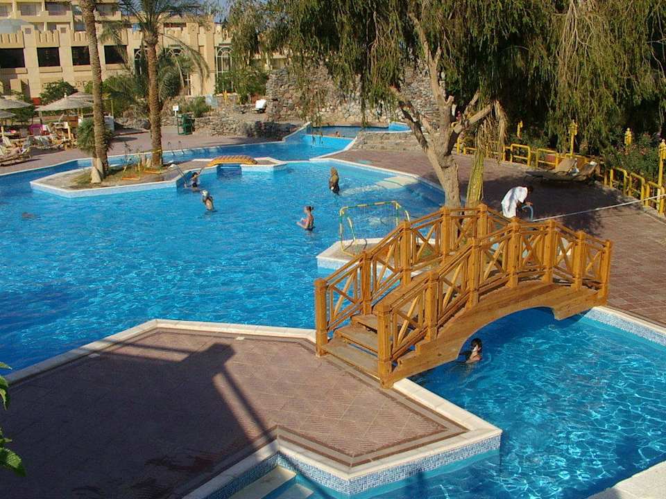 Basen przy barku Shams Safaga Resort