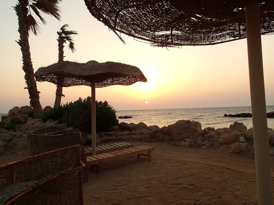 La plage au lever du soleil Pickalbatros Citadel Resort