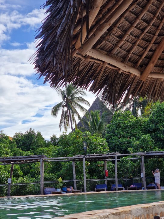 Pool Reef & Beach Resort