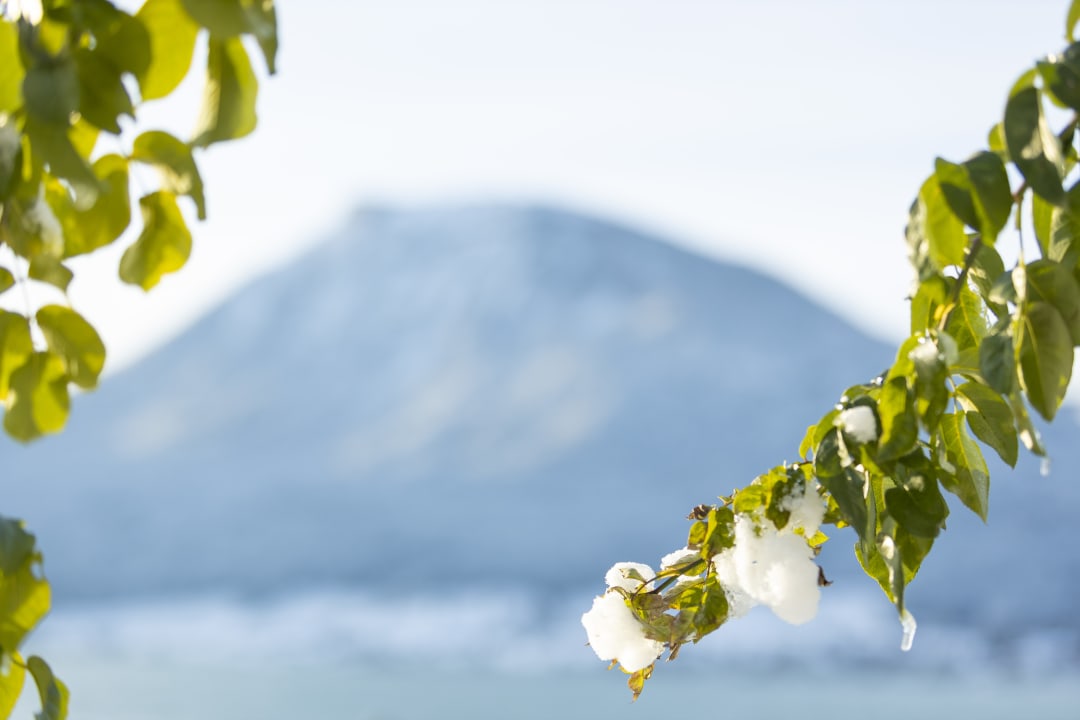 Ausblick Hotel Seevilla Wolfgangsee