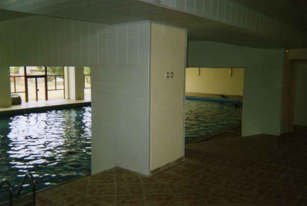 das Schwimmbad im Keller Hotel Dahlia Garden