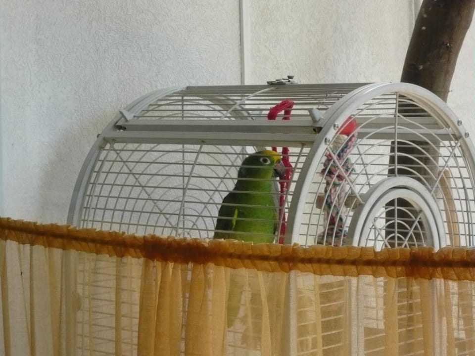 Alarmanlage Hotel Irene