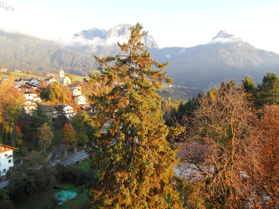 Balkonausblick Zimmer 41 Hotel Rose Wenzer