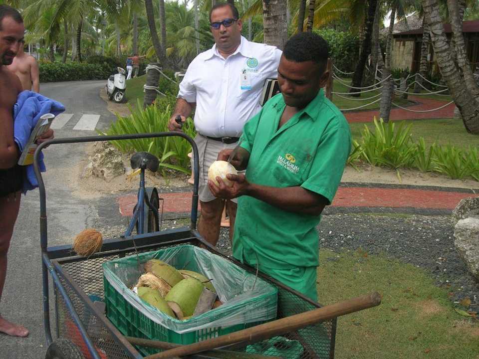 Frische Kokosnüsse für alle Grand Palladium Select Bávaro Resort & Spa