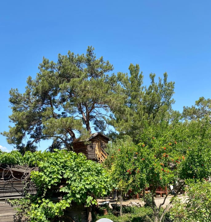 Ausblick HavaSu Park Bungalow