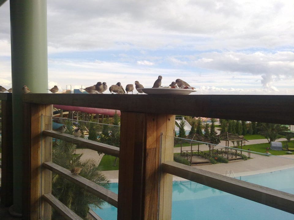 Restaurant Außenansicht Limak Lara Deluxe Hotel & Resort