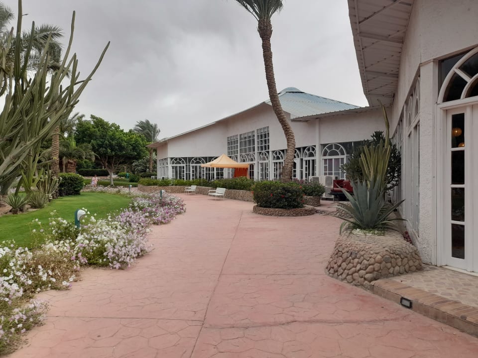 Außenansicht Desert Rose