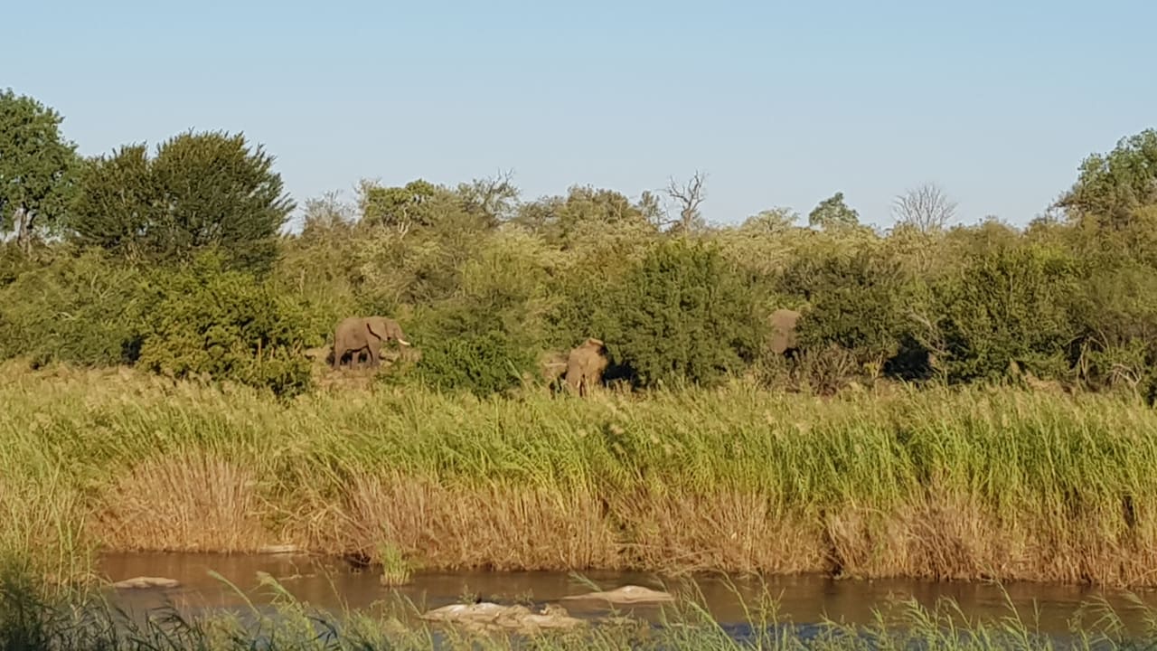 Ausblick Sabie River Bush Lodge