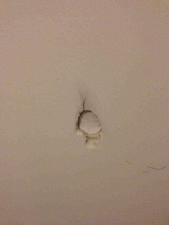 Mein Zimmer Nr. 501 Willy Hotel Frankfurt