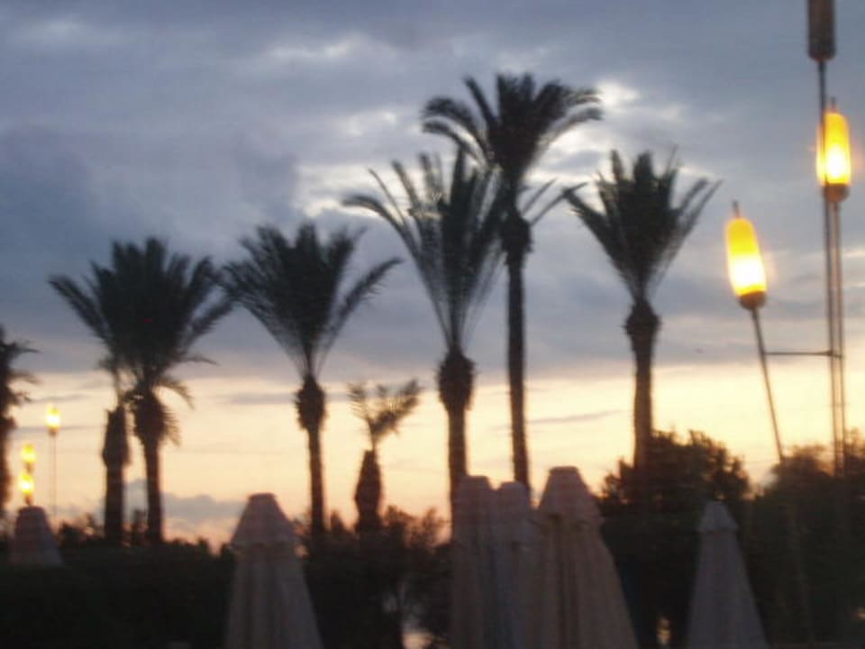 Ausblick PALOMA Perissia