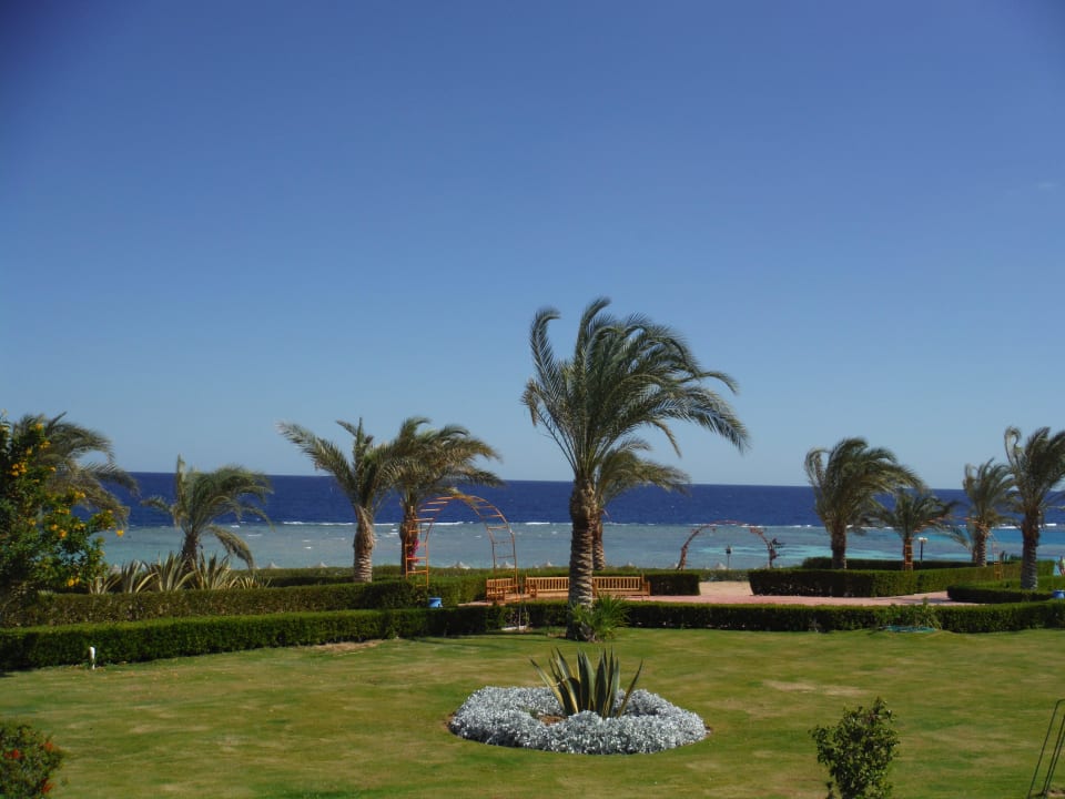 . Fantazia Resort Marsa Alam