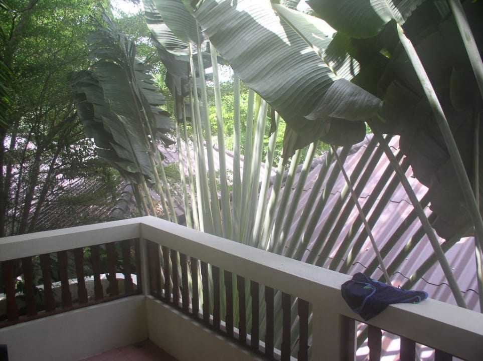 Blick vom Balkon Thai House Beach Resort