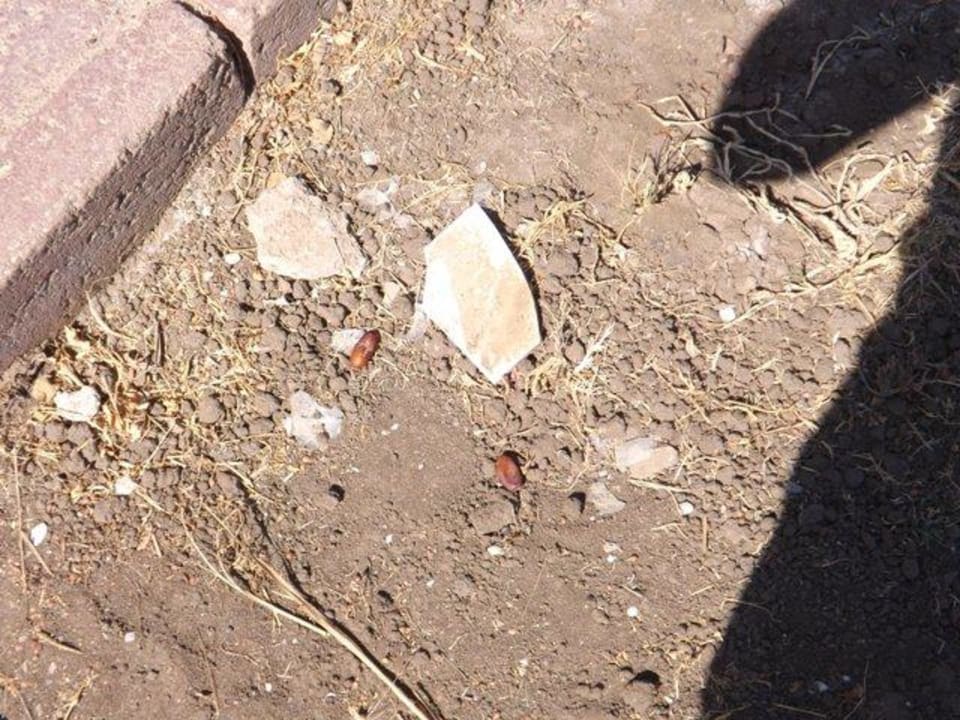 Glühbirnen Glas am gehweg Lotus Bay Beach Resort