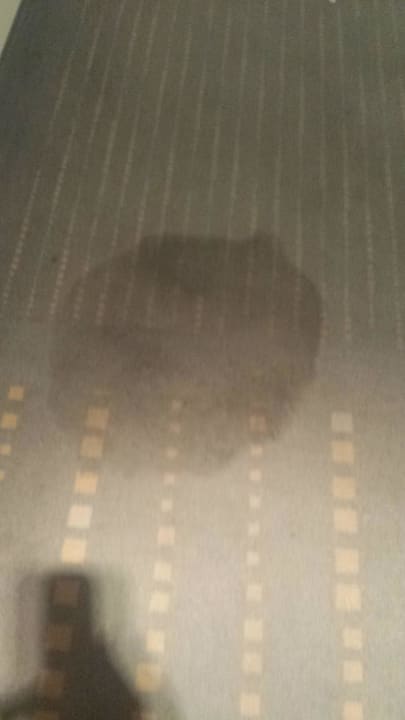 Habe auch ein Video wer mag centrovital Hotel Berlin