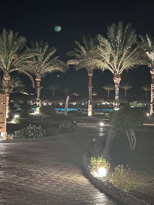 Gartenanlage Three Corners Sea Beach Resort