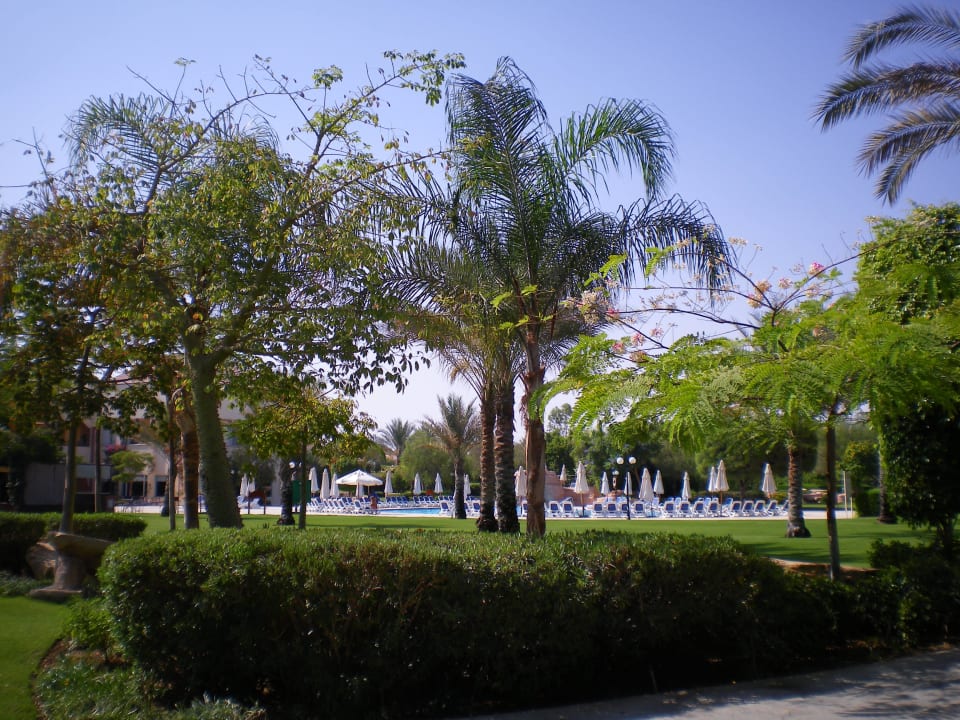 Garten mit Pool Hotel Sea Club Stella Di Mare