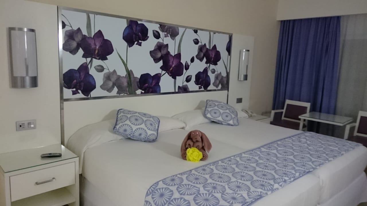 Zimmer Hotel Riu Playacar
