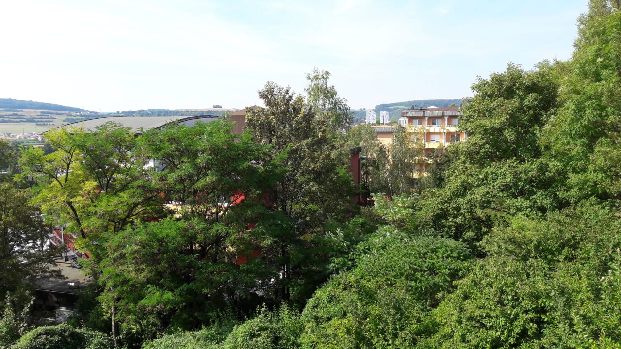 Blick über die Bäume nach Westen Vitalhotel König am Park