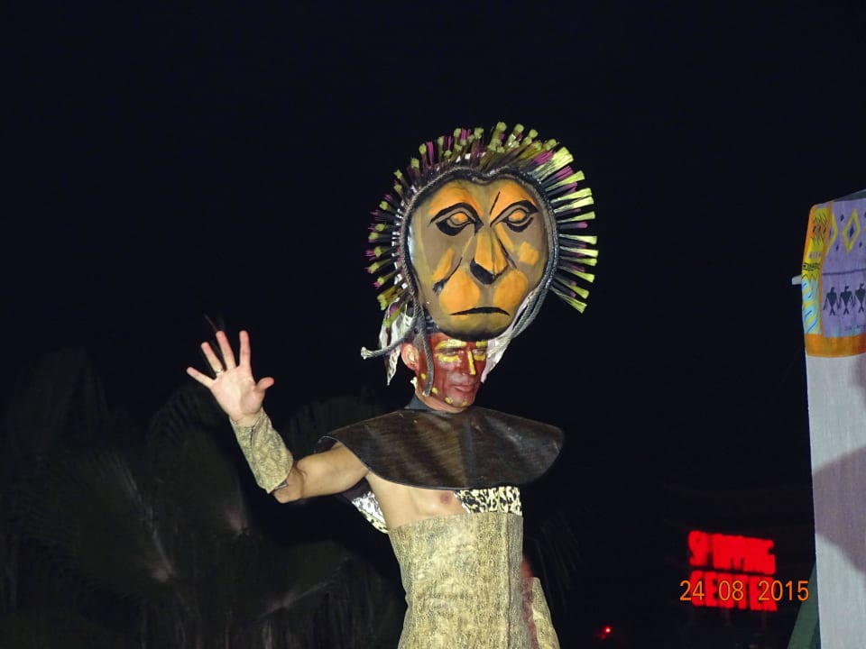 Hanemation , König der Löwen  Hane Family Resort