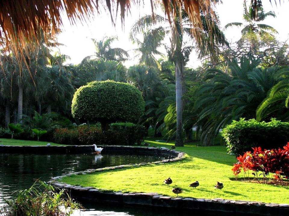 Ogród Grand Palladium Select Bávaro Resort & Spa