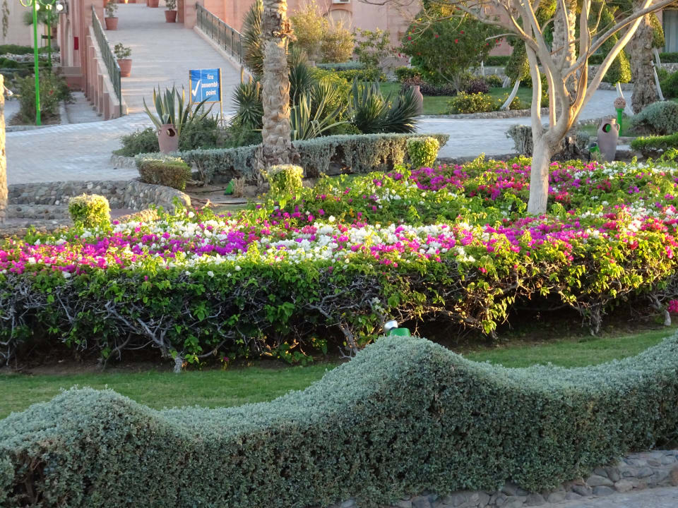 Gartenanlage Sentido Akassia Beach