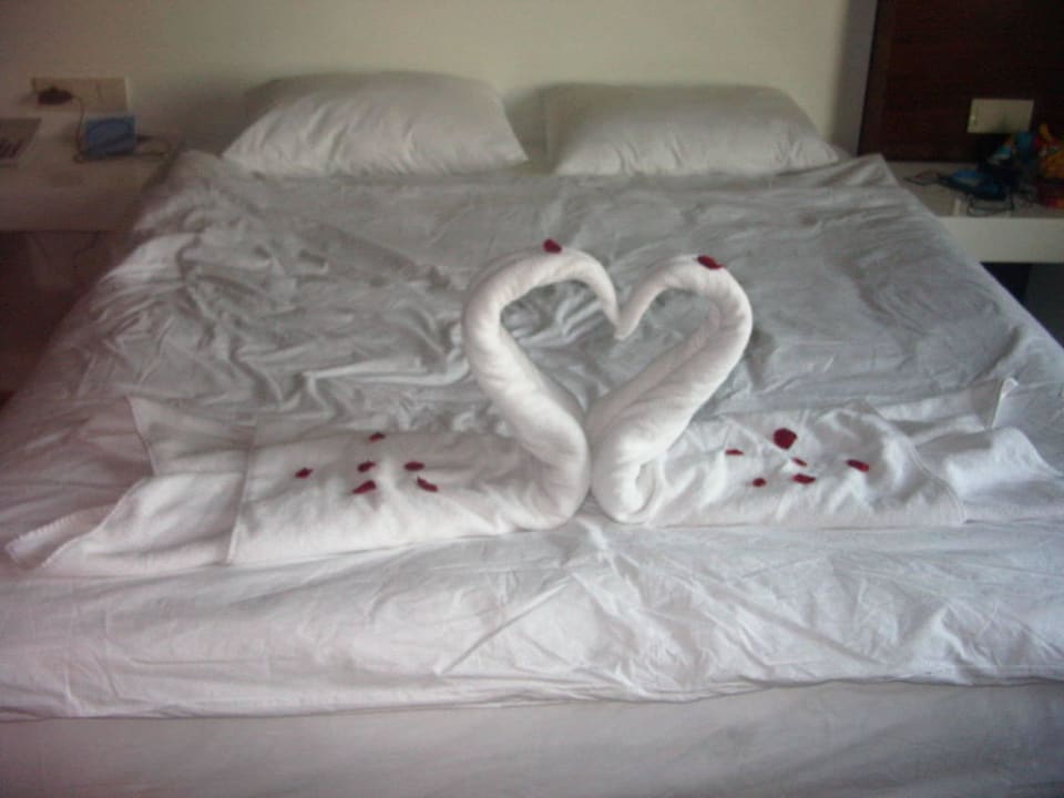 zwei Schwäne aus Handtücher Seaden Sea World Resort & Spa