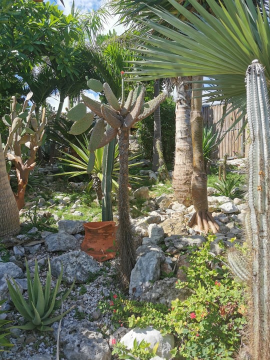 Gartenanlage Ecolodge Vistamar