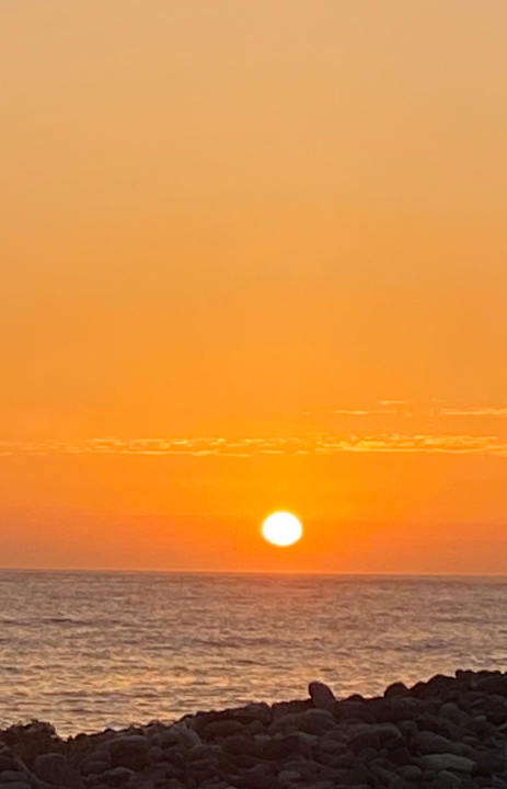 Ausblick Hotel Riu Palace Tenerife