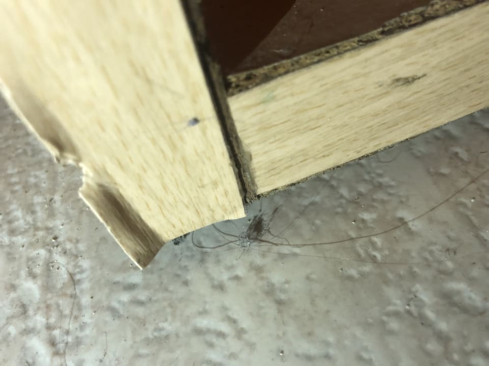 Zimmer MLL Palma Bay Club Resort