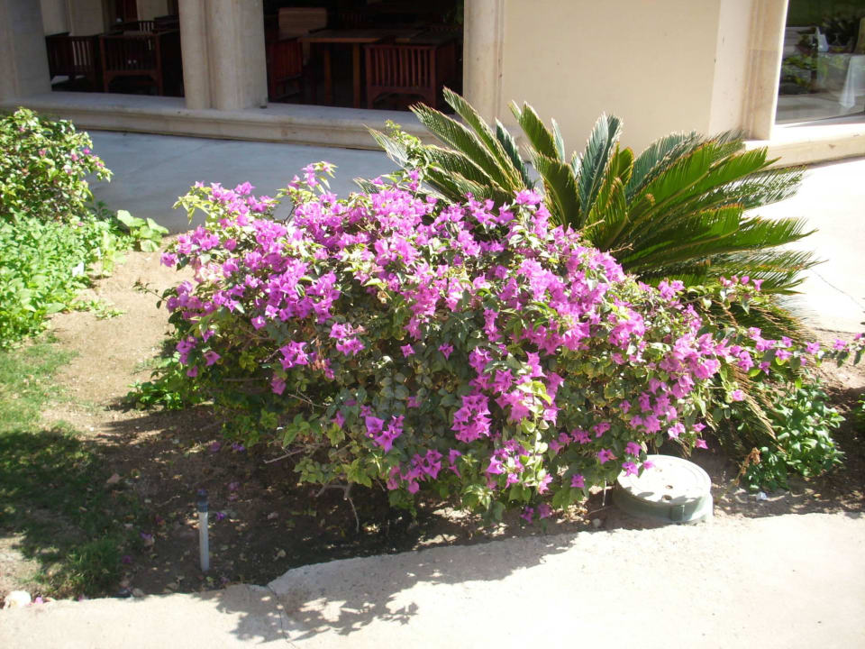 Schön Stella Beach Resort & Spa Makadi Bay